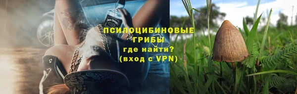 mdpv Медвежьегорск