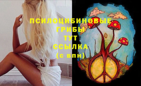 mdpv Медвежьегорск