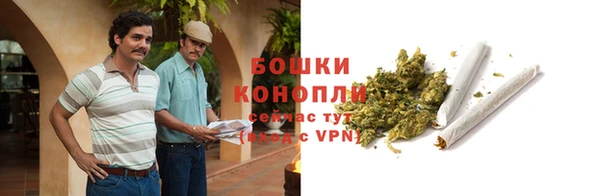 mdpv Медвежьегорск