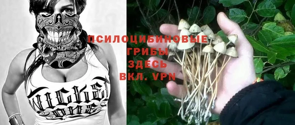 mdpv Медвежьегорск
