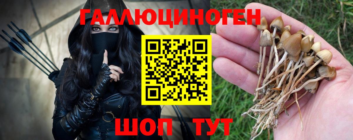 Галлюциногенные грибы MAGIC MUSHROOMS Воронеж